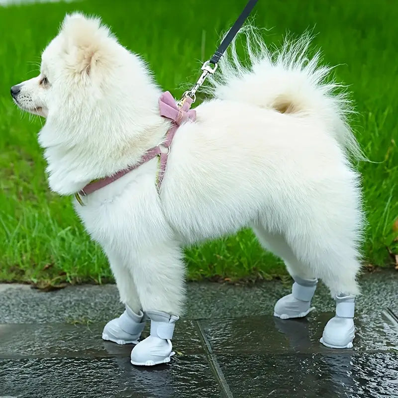 💥BOTAS ANTIDESLIZANTES PARA TU MASCOTA🐶BOTAS QUE CUIDAN CADA PASO 🐾DE TU MEJOR AMIGO 🐾❤🐶