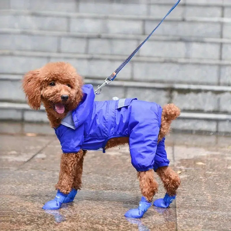 💥BOTAS ANTIDESLIZANTES PARA TU MASCOTA🐶BOTAS QUE CUIDAN CADA PASO 🐾DE TU MEJOR AMIGO 🐾❤🐶