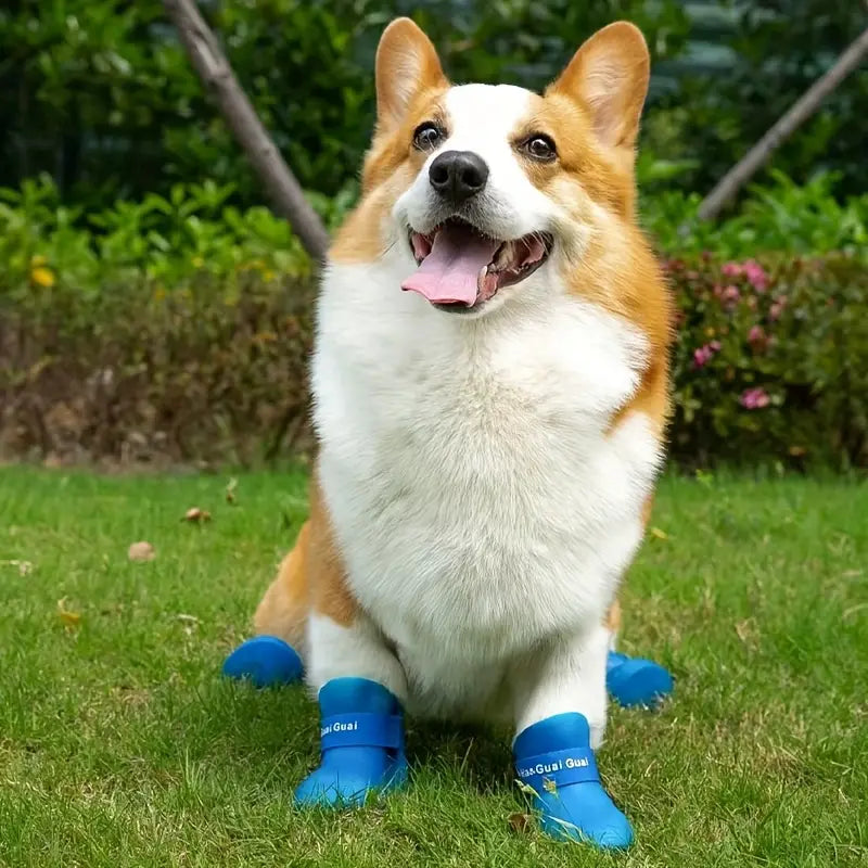 💥BOTAS ANTIDESLIZANTES PARA TU MASCOTA🐶BOTAS QUE CUIDAN CADA PASO 🐾DE TU MEJOR AMIGO 🐾❤🐶