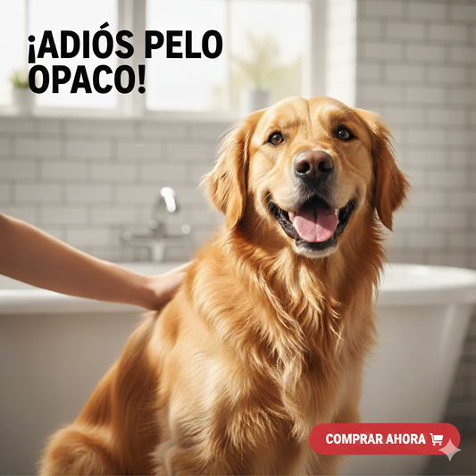 SHAMPOO PARA MASCOTA🥰PORQUE TU MASCOTA 🐶🐱 MERECE LO MEJOR ✨💦